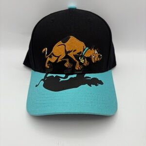 Scooby-Doo Black and Teal Cap NWT